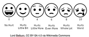 Pain scale example